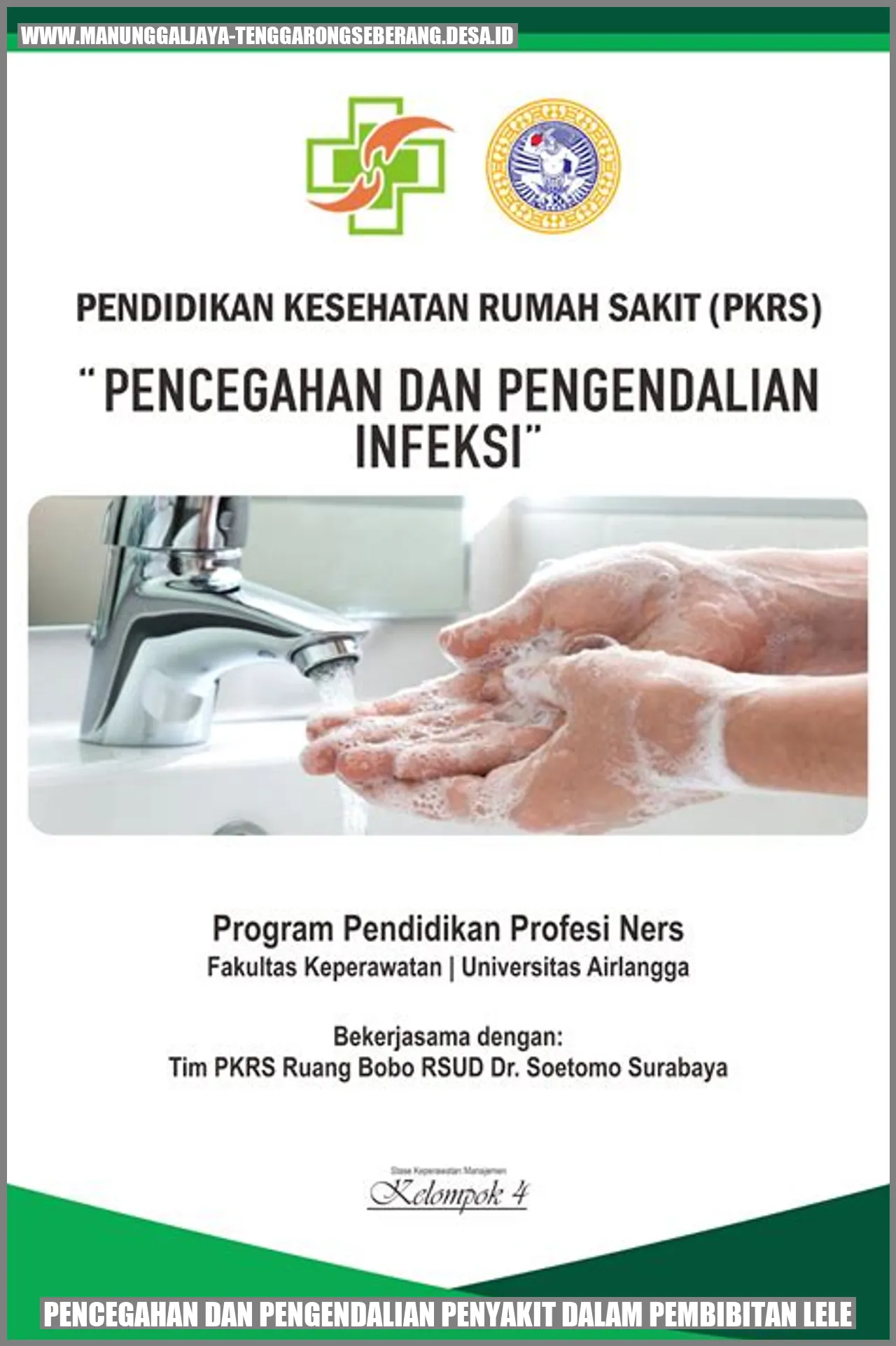 Pencegahan dan Pengendalian Penyakit dalam Pembibitan Lele