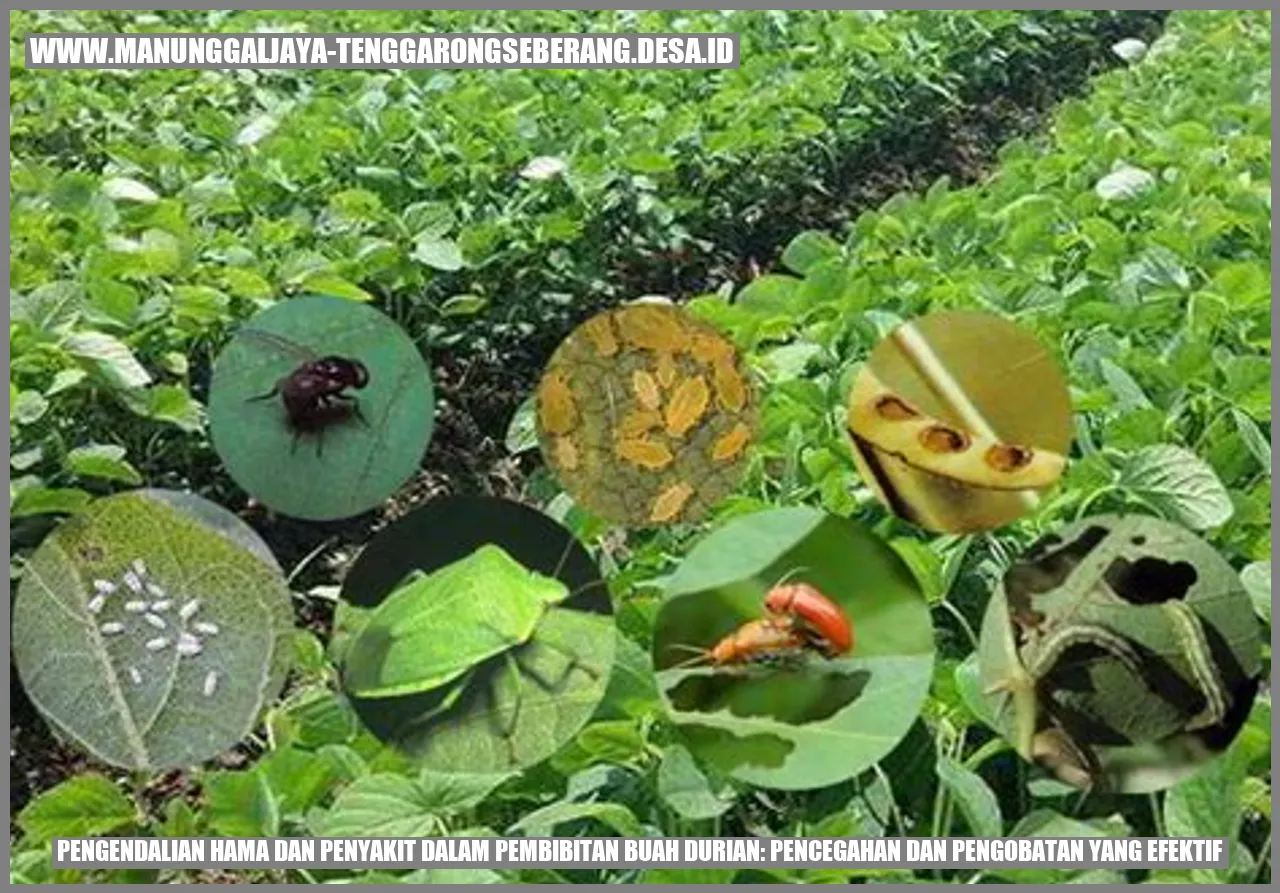 Pengendalian Hama dan Penyakit dalam Pembibitan Buah Durian: Pencegahan dan Pengobatan yang Efektif